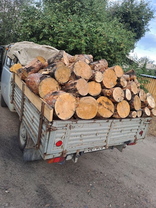 Дрова сухой  рублены