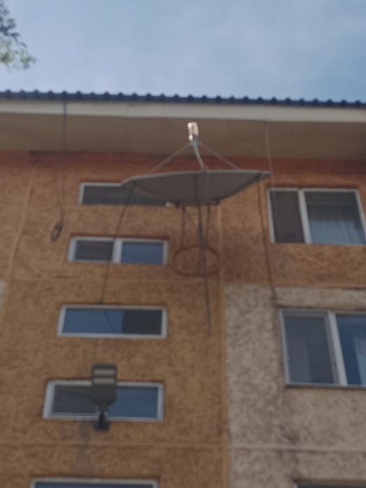 Бесплатно отдам срочно
