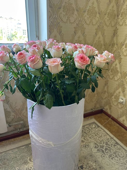 Цветы роза голландский
