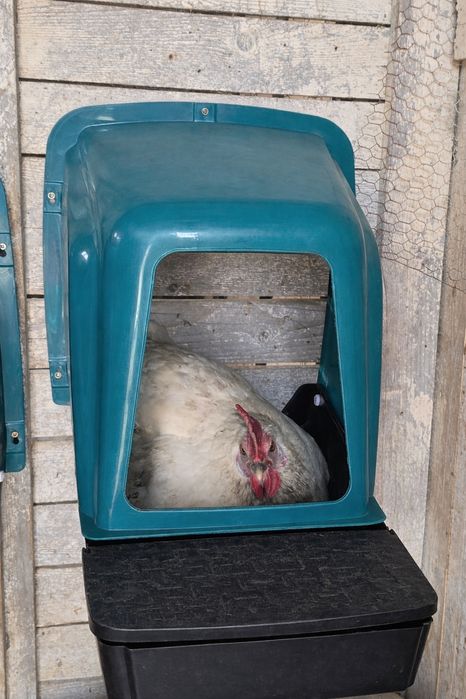 Полог с наклон и чекмедже за кокошки