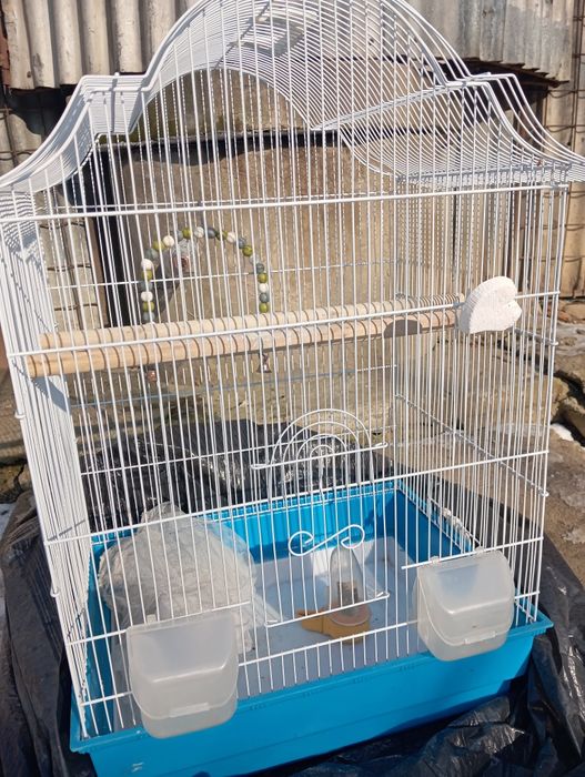 Vând colivie papagali