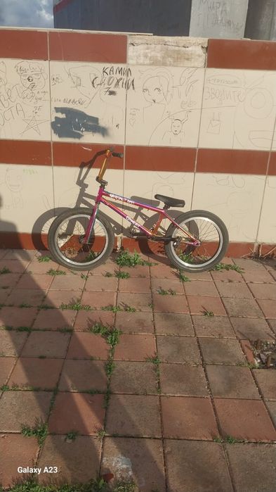 Bmx Gestal group 2025