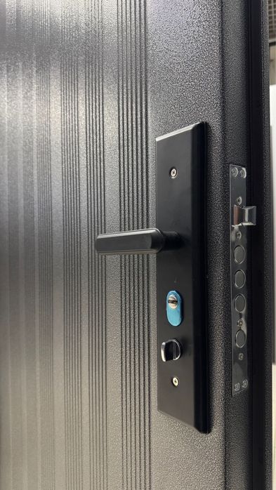 Дверь металлическая