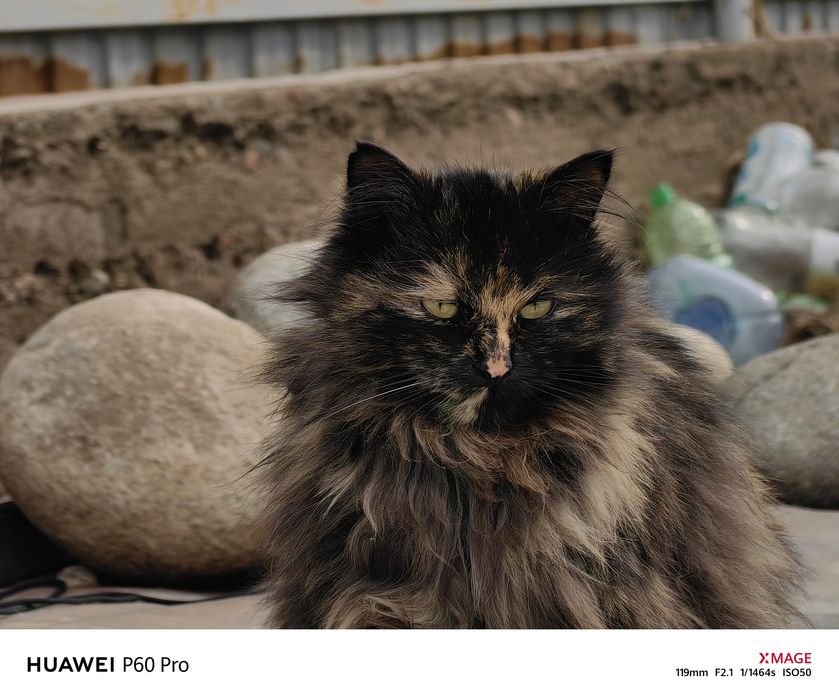 Huawei p60 pro в идеале