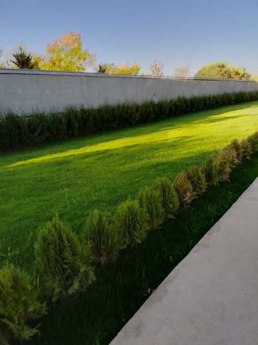 Gazon ekish landshaft dizayni