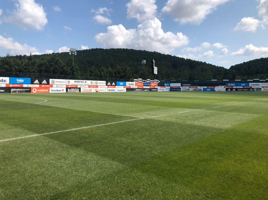 Семена газоны