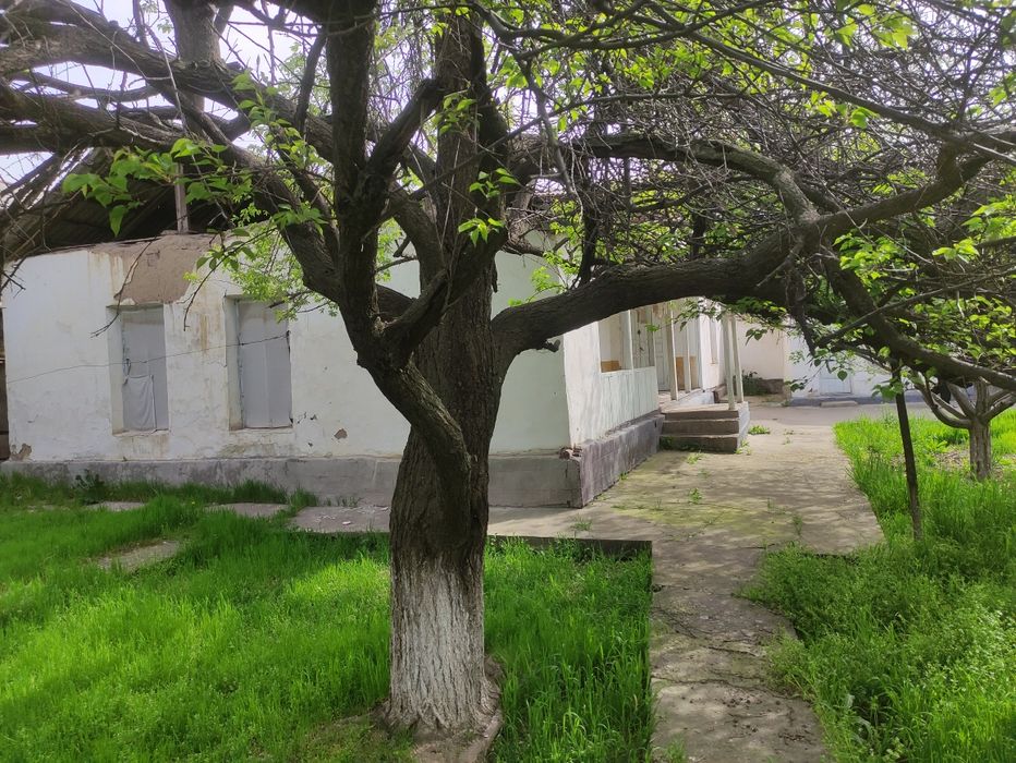 Продаётся дом Кавардан. Юкори Чирчик кавардан кишлок. 10 сотихли уй хо