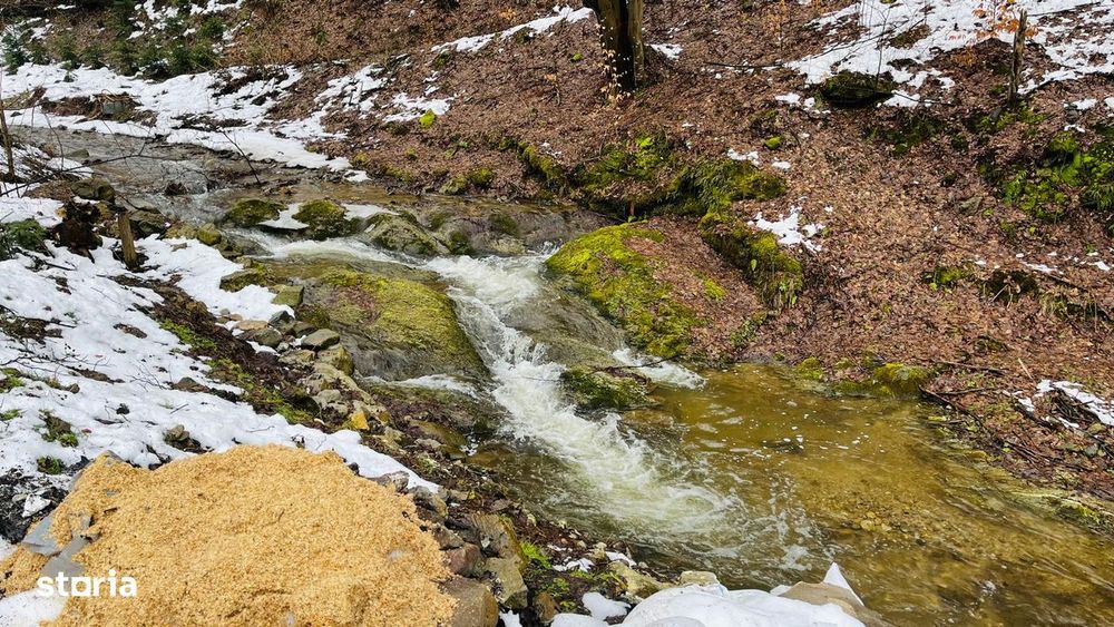 Cabana De Vanzare Strungari-Tonea, Jud. Alba