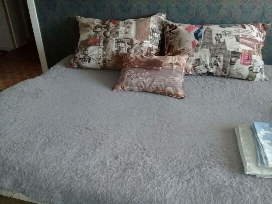 1,5ка посуточно в центре