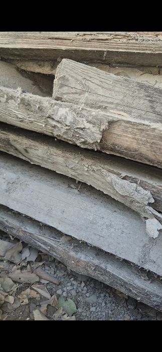 Йогоч российский