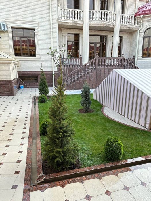 Rulon gazon Samarkand