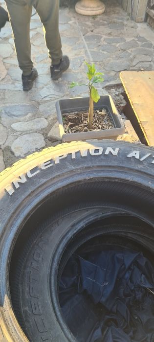 Гуми Grip Max офроуд 235 65 17