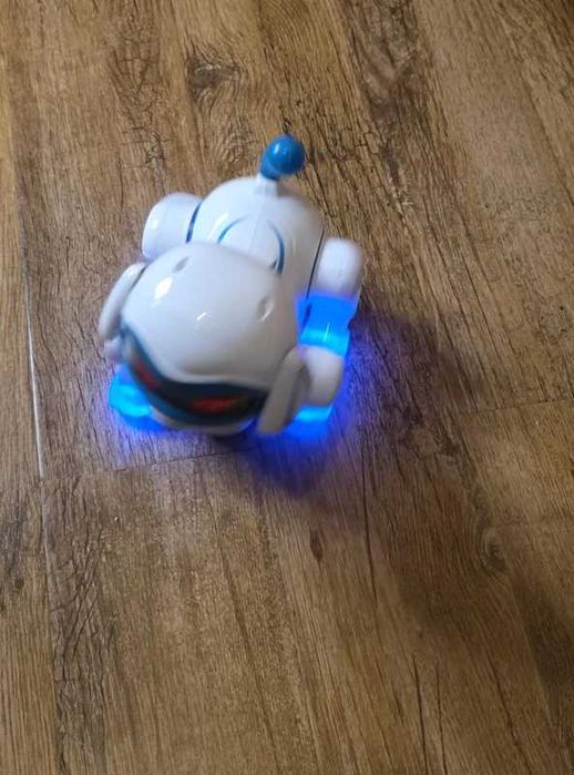 Catel plimbaret Tanfun