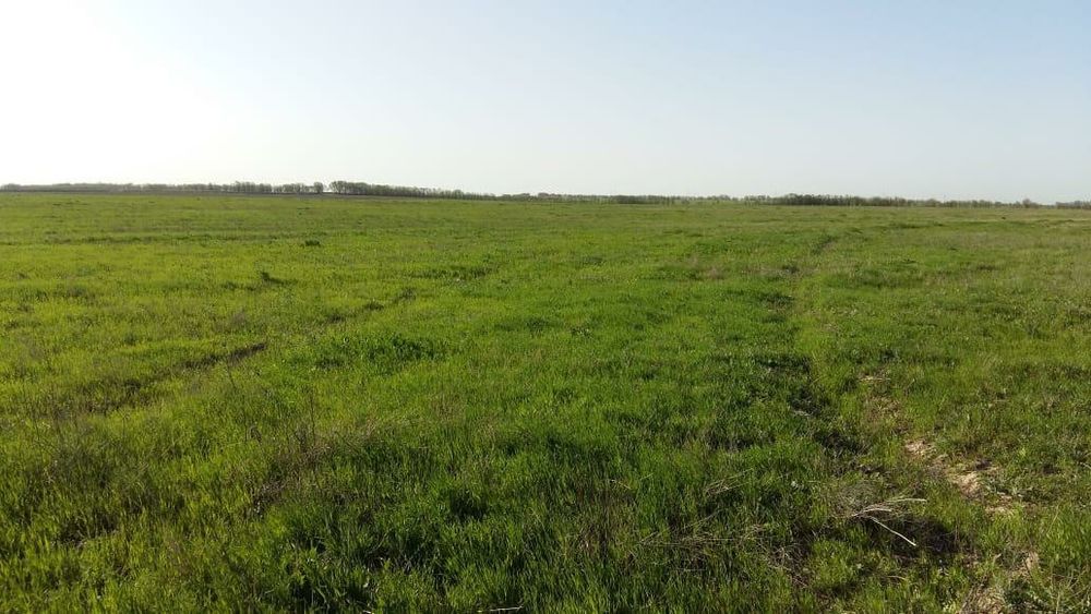 Продам Крестьянское хозяйство