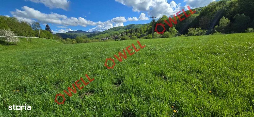 Teren extravilan de vânzare în Sita Buzăului – Zăbrătău!