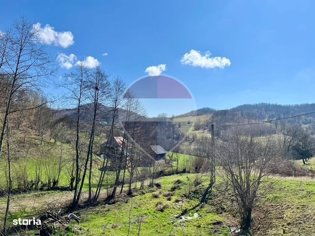 Teren 7,495mp Barsana / Valea Muntelui