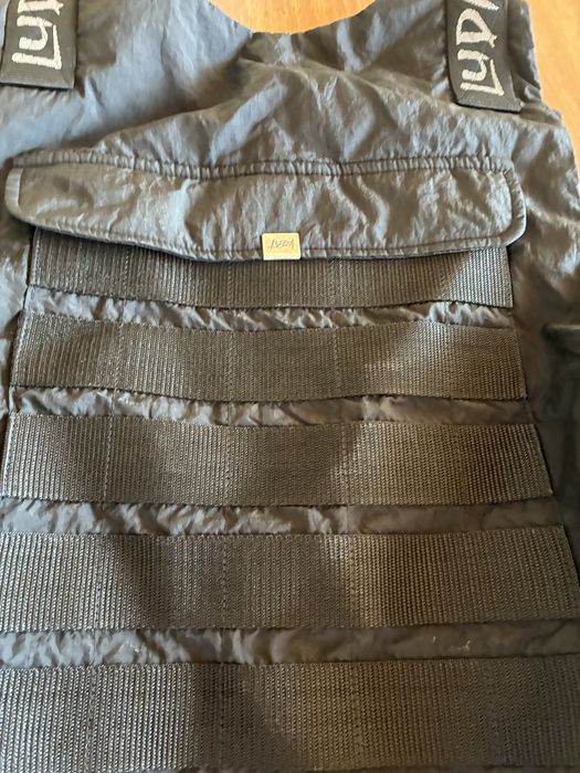 Бронижилетка луда