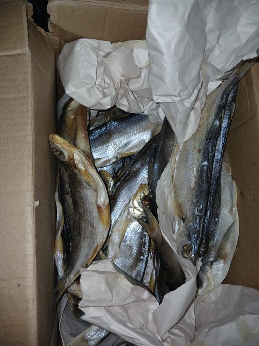 Продаётся вяленая рыба

В наличии:• Вобла• Рыбец (ребец)

С