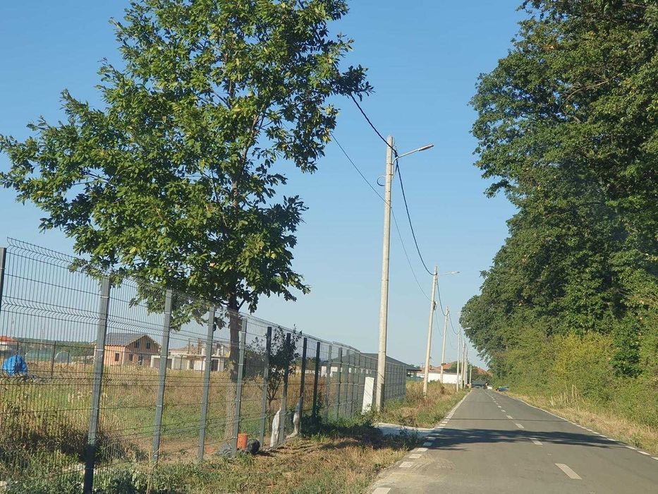 PROPRIETAR Vand Teren, 1500 MP, GHERMANESTI, Ilfov, Padurea Snagov