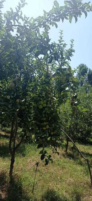 Срочно продается 30 соток земля в хорошим месте