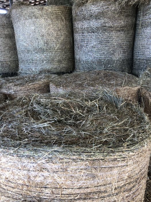 Fan amestec cu lucernă