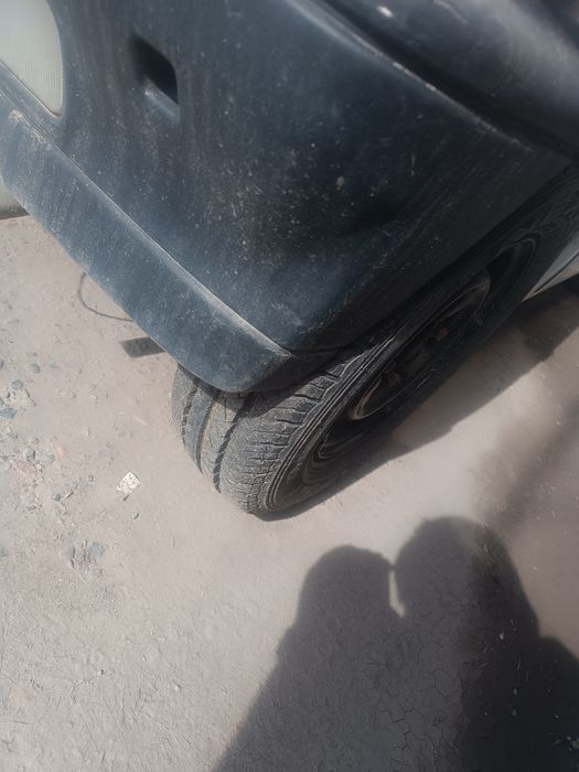 Tico sotiladi , Holati Ortacha, Faqat Afarmlenaga Gen Yoq!