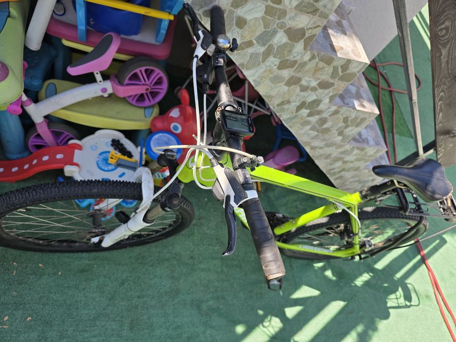 Bicicleta adulti