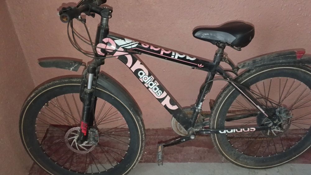 Velosiped  kurerlik qilmoqchi boʻganlar