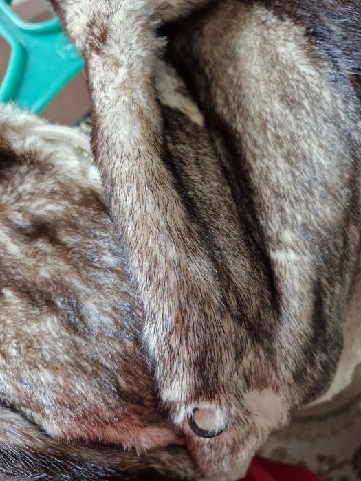 Продам норковые шубы.