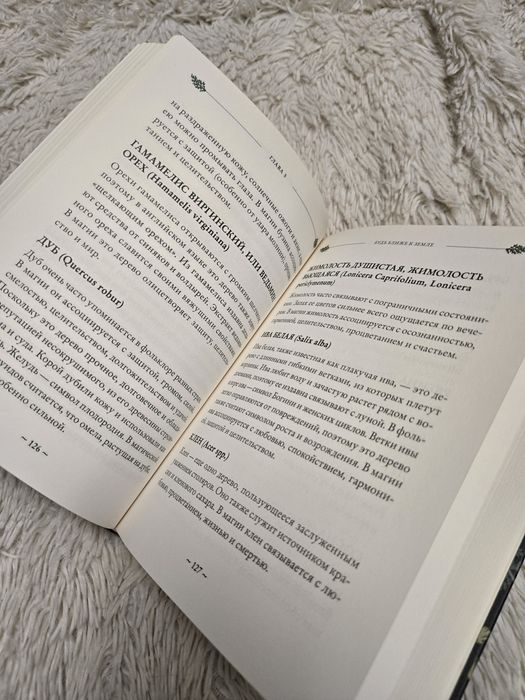 Книга Green Witch