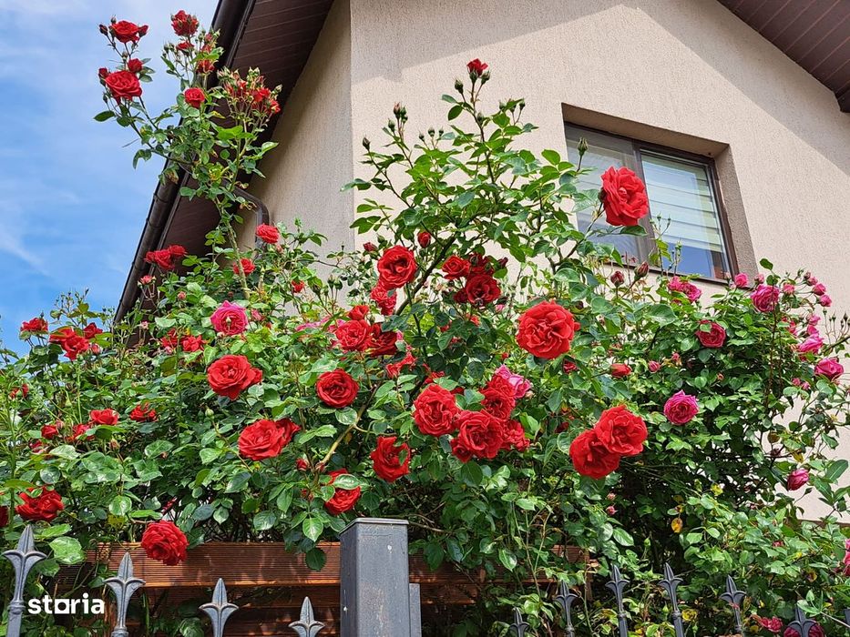 Vilă individuală P+1, 4 camere, 2 băi safirului Bragadiru