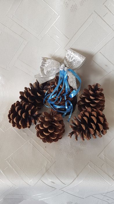 Шишарки за декорация и арт композиции