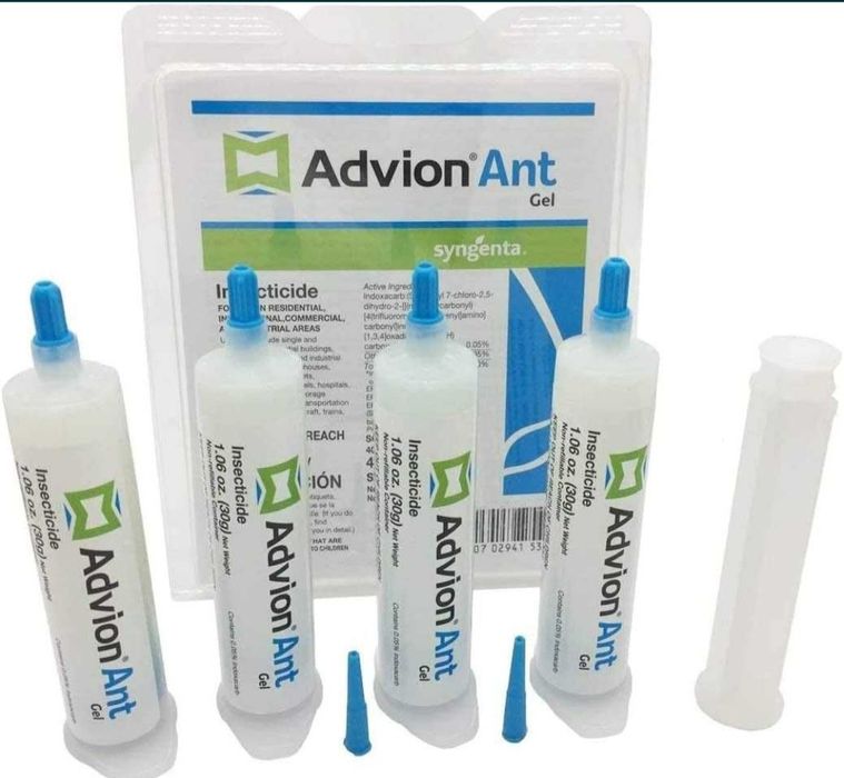 Chumoli gel Advion ant