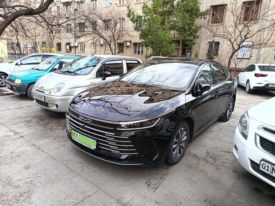 BYD Chazor 2-pozitsiya (Luxe)