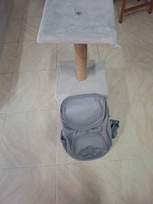 катерушка за котки