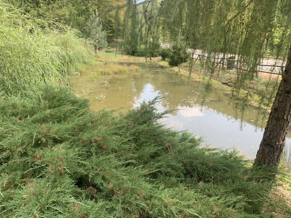 Vind casa de vacanta cu trei casute si pescarie