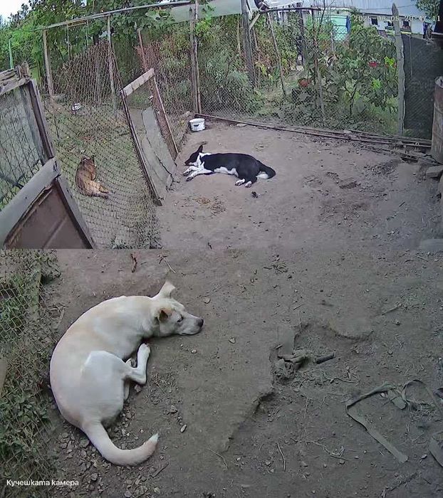 Външна камера за видеонаблюдение FipTec в гаранция + SD карта