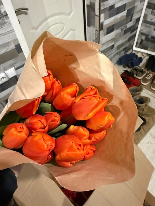 Продам тюльпаны 700 штук в наличии