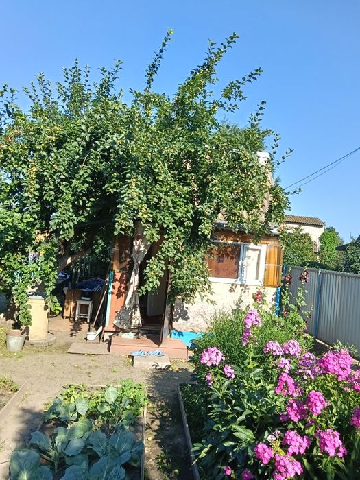 Продам дачу в Солнечном(Новопавловка) 3 сотки