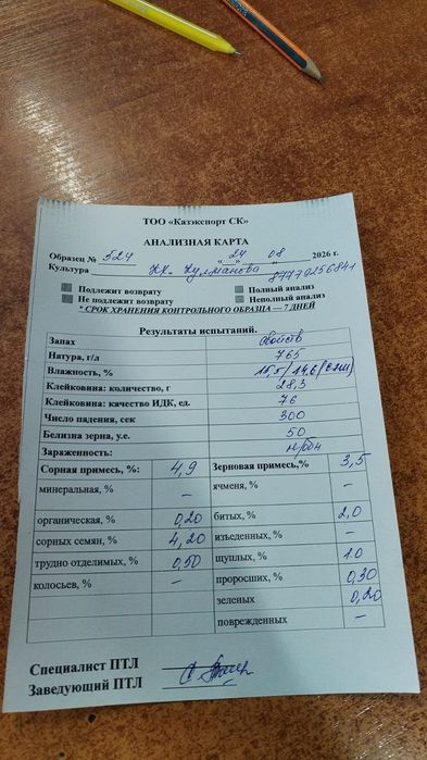 Продам пшеницы с.Асаново