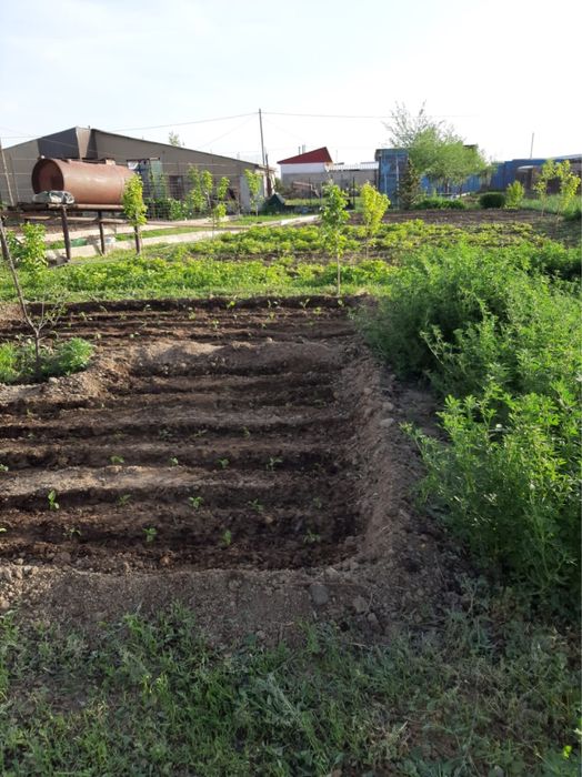 Продам дачу