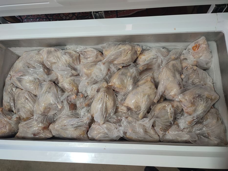 Супавая курица крупная