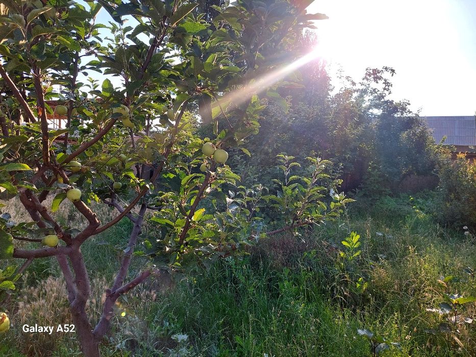 Срочно дом продоётся цена договорная  Уй сотилади келишилган холда