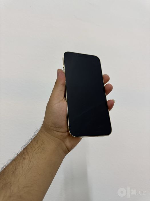 Iphone 13 pro max gold