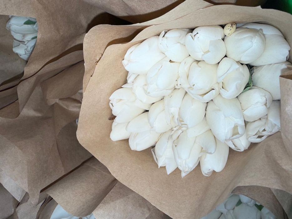 Тюльпаны Тюльпаны Тюльпаны