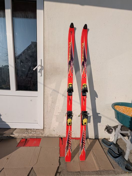 Schiuri in perfecta stare