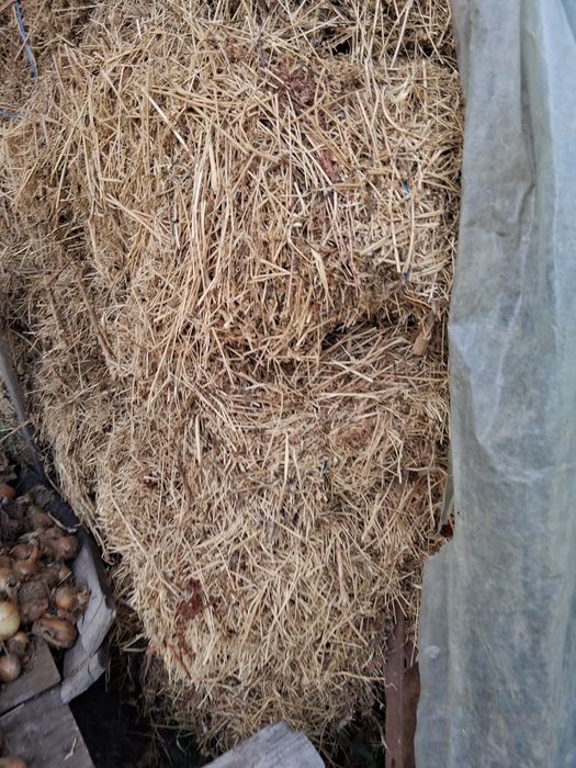 Vând baloti  trifoi