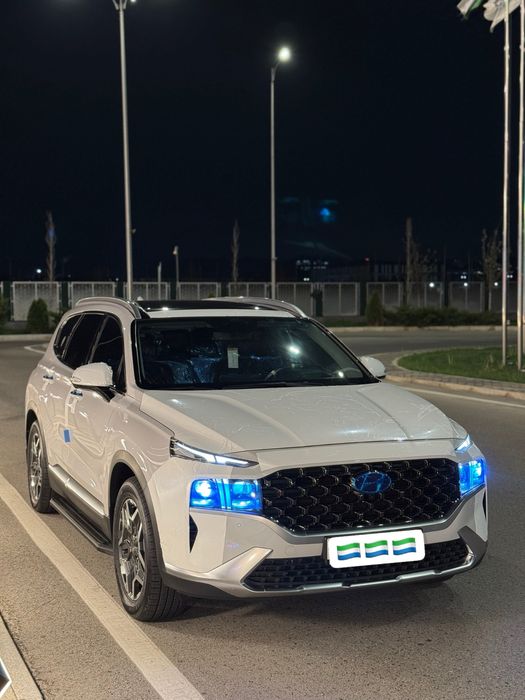 Hyundai Santafee 2.5 full