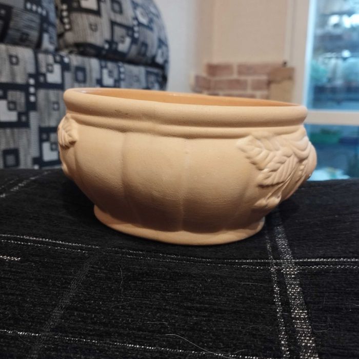 Кашпи за цветя и сукуленти