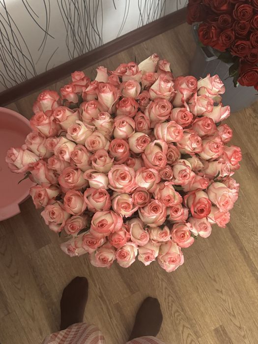 Розы опт/розницу